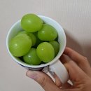 [수원역 맛집] 삼미락(마약낙곱새 본점) 낙곱새 배달 후기