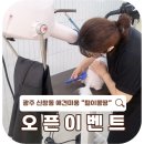 털이몽땅 네이버블로그
