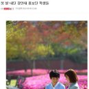 핀캠퍼스