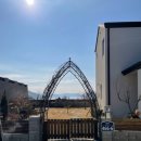 달에게 빌려온 하루 이미지