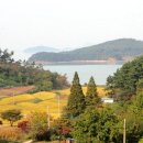 왕산이로 이미지