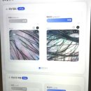 하나에너지 | 가산동미용실 비비추헤어 올리베타 OC에너지 두피 디톡케어 찐강추후기