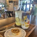 [제주 제주시] 작은 숲속 카페 &#39;시시소소&#39; &lt;솔직후기&gt;