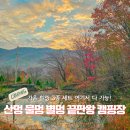 하늘연못팬션 | 대전근교 물멍 산멍 별멍 가능한 감성 캠핑장 리틀빌리지 캠핑장