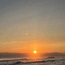 낙산어촌계 화장실 | 2026년 첫 일상 기록🌅, 새해 첫 일출 보고 먹은 팔광호횟집 물회 <가성비 내돈내산 찐맛집>🐟