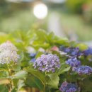 아이랑펜션 이미지