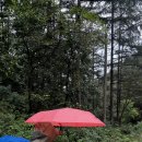 호명산잣나무숲캠핑장 이미지