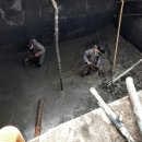 아침농장임실 이미지