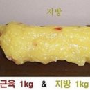 동동점핑체온다이어트