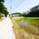 만종공인중개사사무소 이미지