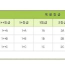 채홍일 카페-한우, 소고기 맛있는 부위, 소고기 등급표, 역시, 한우는 마블링이 좋은 안창살이 최고지, 살치살은 너무연하다,(181222) 이미지