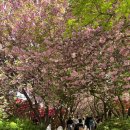 완산-26 국민일보