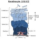 노바약국 이미지