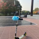 두발두발 이미지