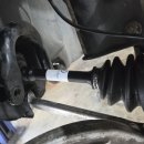 SA모터스 이미지