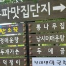 진미면막국수 이미지