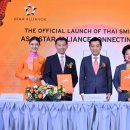 메드스타 이미지