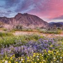 GIANT&PLAY ZONE 이미지