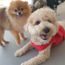 마인드몽 유치원 이미지