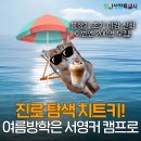 서영산업 | [공지] [모집] 여름방학은 직무 부트캠프와 함께! 2026 서울영커리언스(서영커) 캠프 여름학기 모집