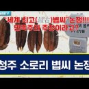 세계 최고(最古) "청주 소로리 볍씨 " 학술 등재가 민족주의 주장인가? 이미지