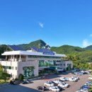 영월군 치매안심센터 이미지