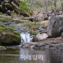 도림사[북] 이데일리