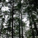 인제 가리벨리 [2011.09.17~09.18]