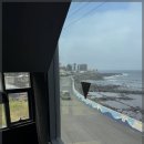 바다를 품은 돼지 이미지