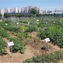 여울농장1 이미지