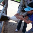 세원목장 이미지