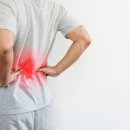 신호솔밭공원 이미지