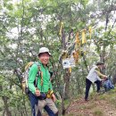 2017년 8월 6일 한강기맥 덕구산 응곡산 만대산을 다녀와서 이미지