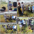 인천사리울중학교 이미지