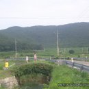 석성슈퍼 Daum카페