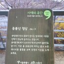 [서울 봄꽃 축제] 응봉산 개나리축제 다녀온 후기~(주차, 야경)