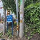 애니카랜드 고현점 이미지