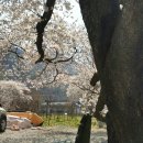 라제펜션 이미지