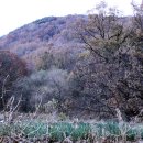 조양목장 이미지