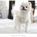 오가닉맘마