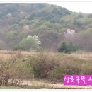 정경농장 이미지