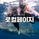 세부 여행 필수 투어 로컬페이지 1박2일 패키지 후기