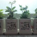 사당1동 주민센터 이미지