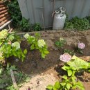 백천스크린골프연습장 이미지