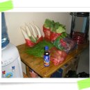 몽땅꾸이꾸이 이미지