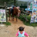 으뜸목장 이미지