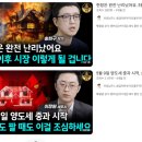 토가전통장 | [부동산] 미혼 여자의 서울 집 매매 여정 1 : 임장~예산계획 (보금자리론, 차용증, 토허가)