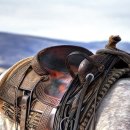 명화목장 이미지