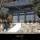 순천-79호 이미지