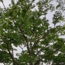 중산2리경로당 이미지